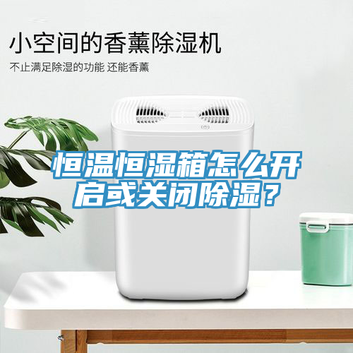 恒溫恒濕箱怎么開(kāi)啟或關(guān)閉除濕？