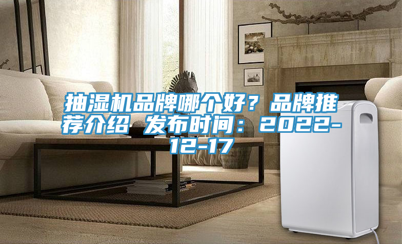 抽濕機品牌哪個好？品牌推薦介紹 發(fā)布時間：2022-12-17