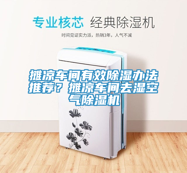 攤涼車(chē)間有效除濕辦法推薦？攤涼車(chē)間去濕空氣除濕機(jī)