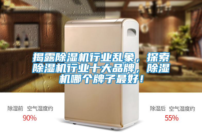 揭露除濕機(jī)行業(yè)亂象，探索除濕機(jī)行業(yè)十大品牌，除濕機(jī)哪個(gè)牌子最好！
