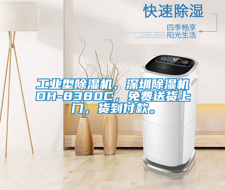 工業(yè)型除濕機，深圳除濕機DH-8380C，免費送貨上門，貨到付款。
