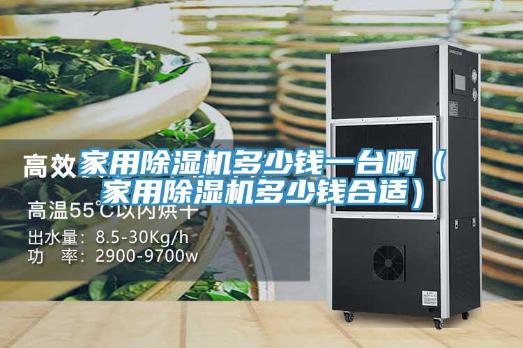 家用除濕機(jī)多少錢一臺?。矣贸凉駲C(jī)多少錢合適）