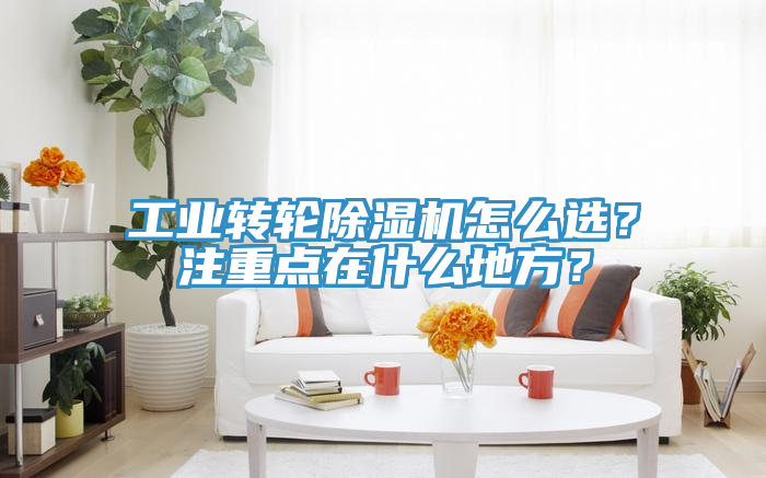 工業(yè)轉(zhuǎn)輪除濕機怎么選？注重點在什么地方？