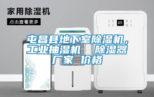屯昌縣地下室除濕機(jī)，工業(yè)抽濕機(jī)  除濕器廠家 價(jià)格