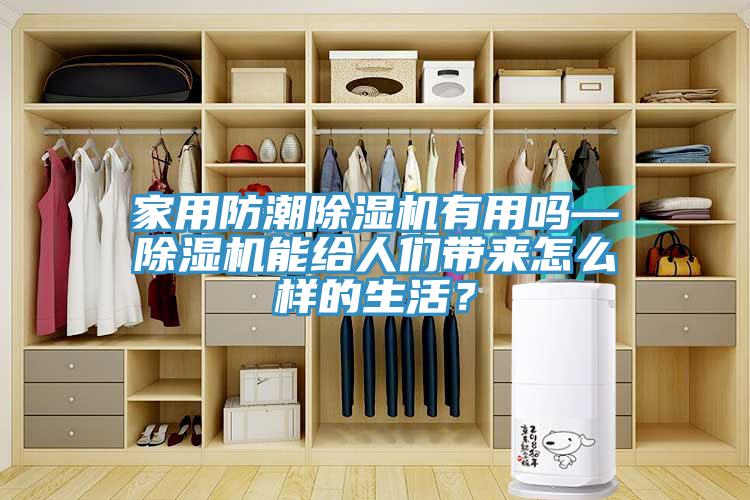 家用防潮除濕機有用嗎—除濕機能給人們帶來怎么樣的生活？