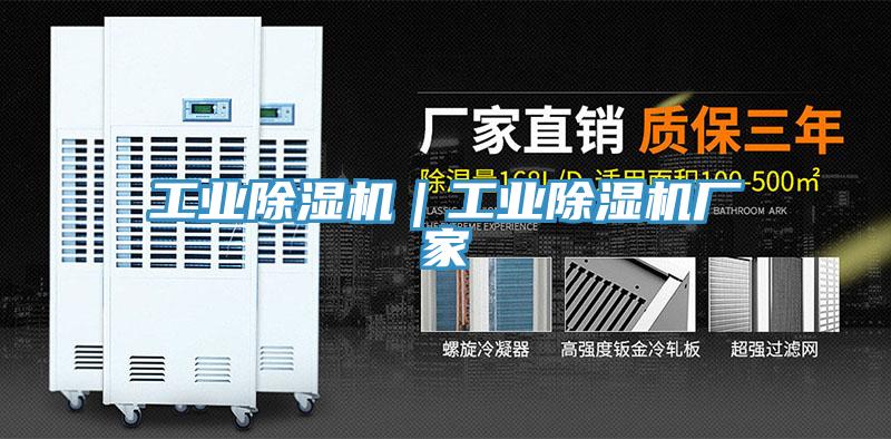 工業(yè)除濕機(jī)｜工業(yè)除濕機(jī)廠(chǎng)家