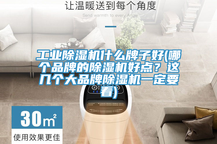 工業(yè)除濕機什么牌子好(哪個品牌的除濕機好點？這幾個大品牌除濕機一定要看)