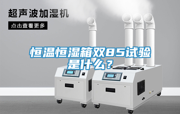 恒溫恒濕箱雙85試驗是什么？