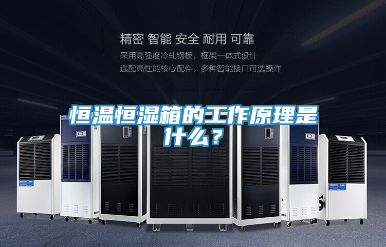 恒溫恒濕箱的工作原理是什么？