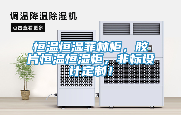 恒溫恒濕菲林柜，膠片恒溫恒濕柜，非標(biāo)設(shè)計(jì)定制！