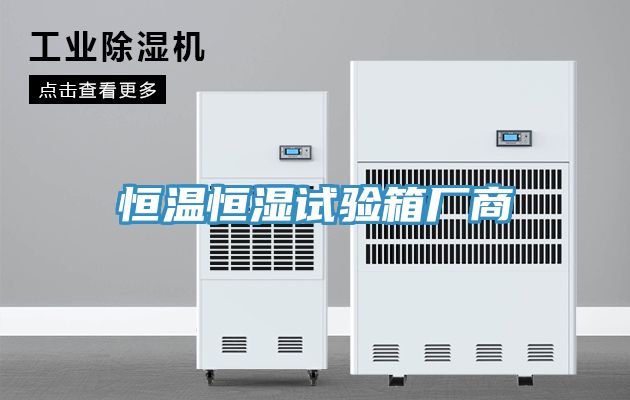 恒溫恒濕試驗(yàn)箱廠(chǎng)商