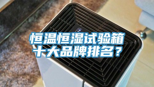 恒溫恒濕試驗(yàn)箱十大品牌排名？