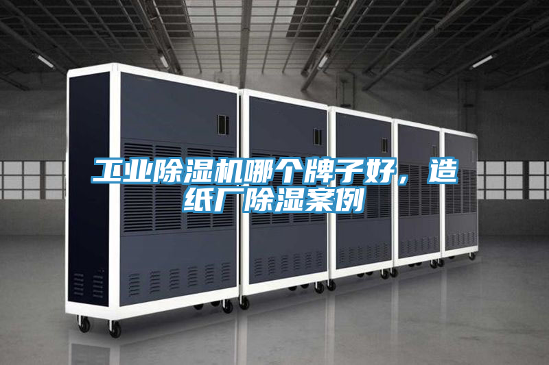 工業(yè)除濕機(jī)哪個(gè)牌子好，造紙廠除濕案例