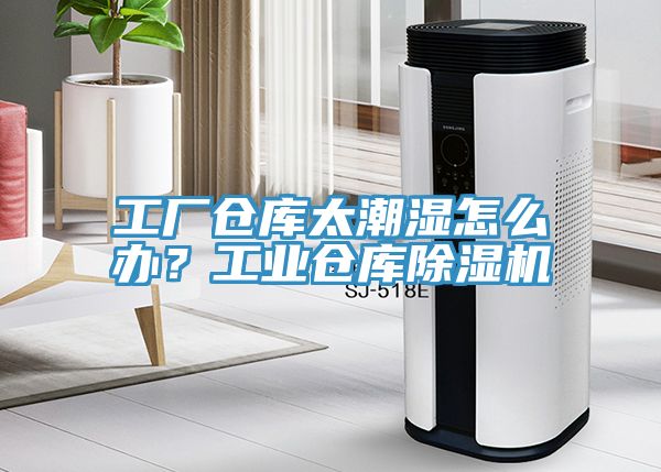 工廠倉庫太潮濕怎么辦？工業(yè)倉庫除濕機