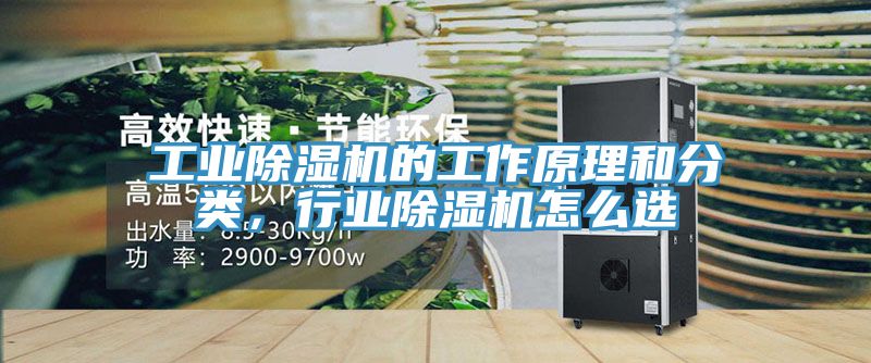 工業(yè)除濕機(jī)的工作原理和分類，行業(yè)除濕機(jī)怎么選