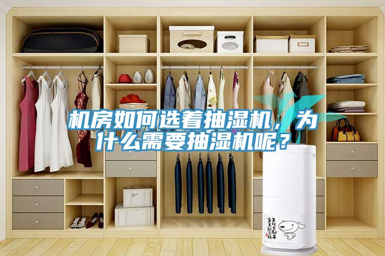 機(jī)房如何選著抽濕機(jī)，為什么需要抽濕機(jī)呢？