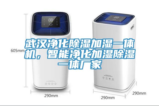 武漢凈化除濕加濕一體機(jī)，智能凈化加濕除濕一體廠家