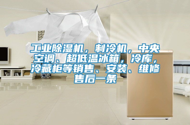 工業(yè)除濕機(jī)，制冷機(jī)，中央空調(diào)、超低溫冰箱，冷庫，冷藏柜等銷售、安裝、維修售后一條