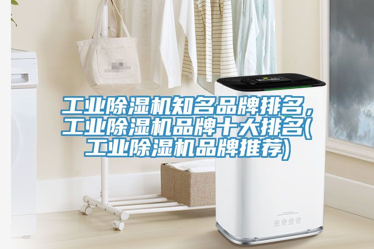工業(yè)除濕機知名品牌排名，工業(yè)除濕機品牌十大排名(工業(yè)除濕機品牌推薦)