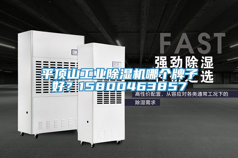 平頂山工業(yè)除濕機哪個牌子好？15800463857
