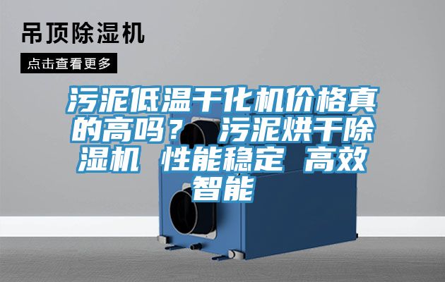 污泥低溫干化機價格真的高嗎？ 污泥烘干除濕機 性能穩(wěn)定 高效智能