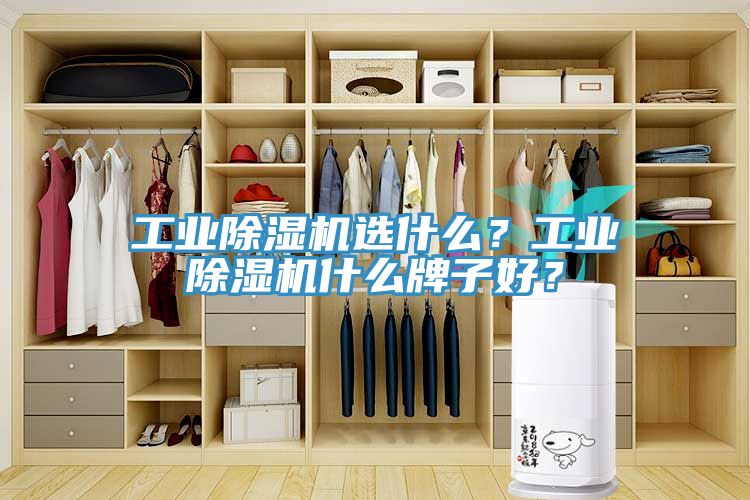 工業(yè)除濕機選什么？工業(yè)除濕機什么牌子好？