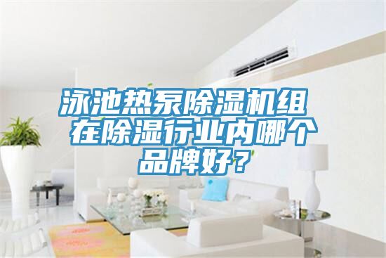 泳池?zé)岜贸凉駲C(jī)組 在除濕行業(yè)內(nèi)哪個(gè)品牌好？