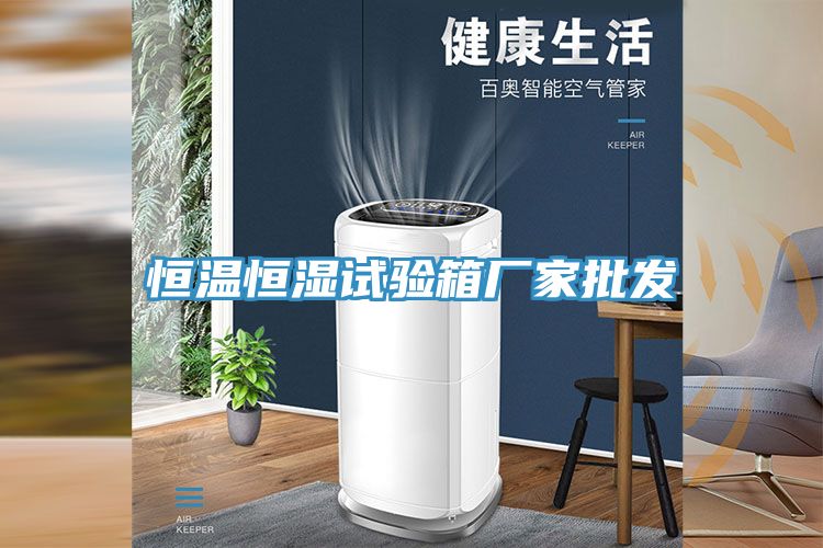 恒溫恒濕試驗(yàn)箱廠(chǎng)家批發(fā)