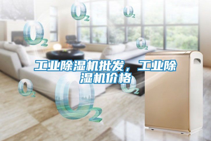 工業(yè)除濕機(jī)批發(fā)，工業(yè)除濕機(jī)價(jià)格