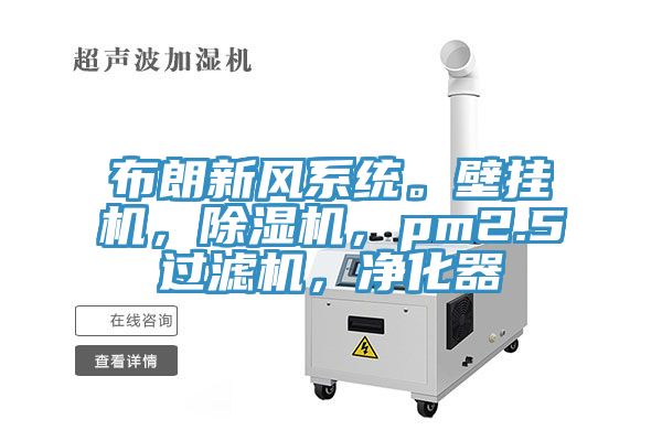 布朗新風(fēng)系統(tǒng)。壁掛機(jī)，除濕機(jī)，pm2.5過濾機(jī)，凈化器