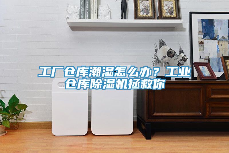 工廠倉庫潮濕怎么辦？工業(yè)倉庫除濕機拯救你