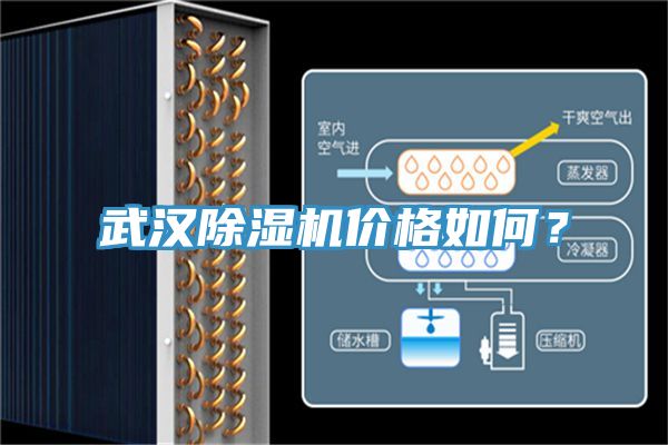 武漢除濕機(jī)價(jià)格如何？