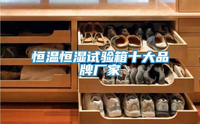 恒溫恒濕試驗(yàn)箱十大品牌廠(chǎng)家