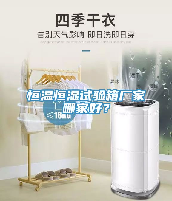 恒溫恒濕試驗(yàn)箱廠(chǎng)家哪家好？