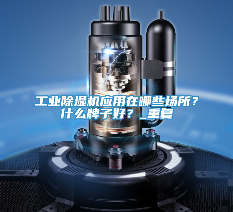 工業(yè)除濕機(jī)應(yīng)用在哪些場(chǎng)所？什么牌子好？_重復(fù)