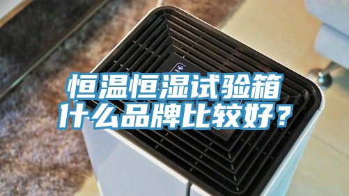 恒溫恒濕試驗箱什么品牌比較好？