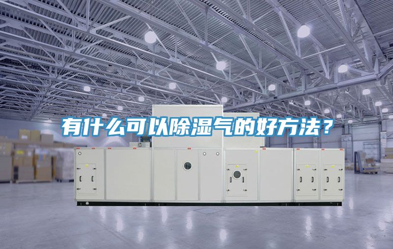 有什么可以除濕氣的好方法？