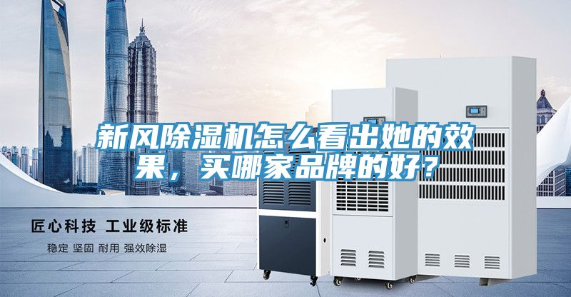 新風(fēng)除濕機怎么看出她的效果，買哪家品牌的好？