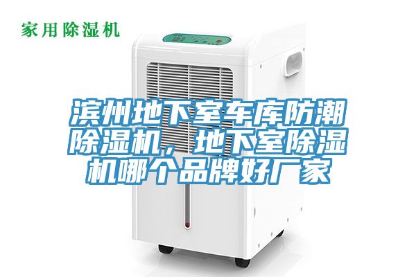 濱州地下室車庫(kù)防潮除濕機(jī)，地下室除濕機(jī)哪個(gè)品牌好廠家