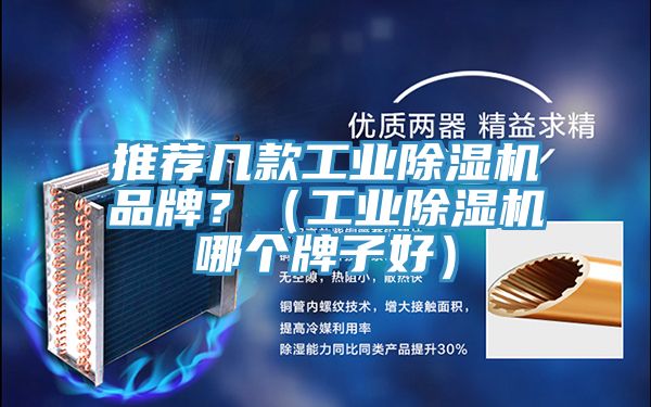 推薦幾款工業(yè)除濕機(jī)品牌？（工業(yè)除濕機(jī)哪個牌子好）