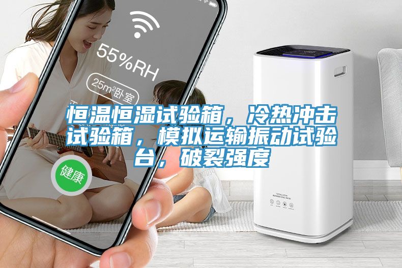 恒溫恒濕試驗箱，冷熱沖擊試驗箱，模擬運輸振動試驗臺，破裂強度