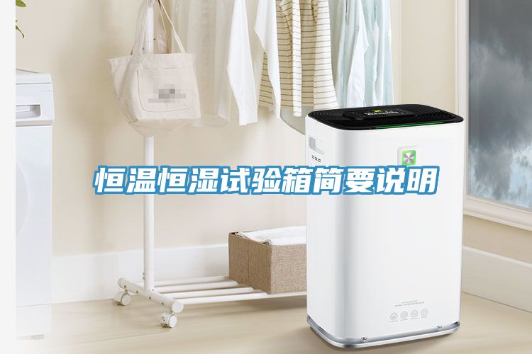 恒溫恒濕試驗(yàn)箱簡要說明