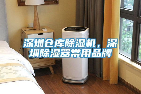 深圳倉庫除濕機，深圳除濕器常用品牌