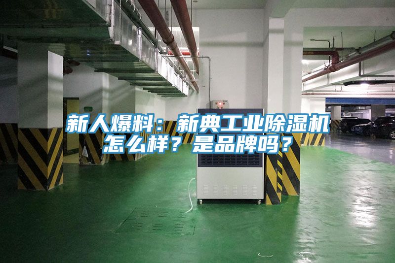 新人爆料：新典工業(yè)除濕機(jī)怎么樣？是品牌嗎？