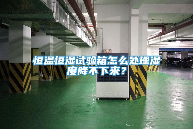 恒溫恒濕試驗(yàn)箱怎么處理濕度降不下來？