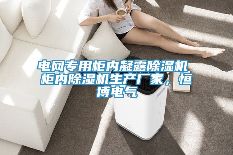 電網(wǎng)專用柜內(nèi)凝露除濕機 柜內(nèi)除濕機生產(chǎn)廠家，恒博電氣