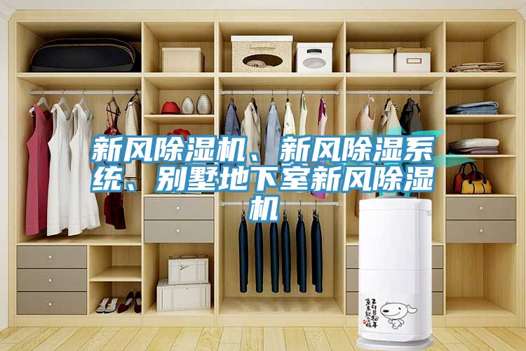 新風除濕機、新風除濕系統(tǒng)、別墅地下室新風除濕機