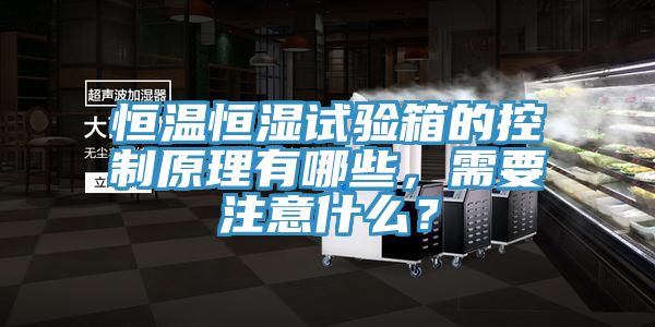 恒溫恒濕試驗(yàn)箱的控制原理有哪些，需要注意什么？