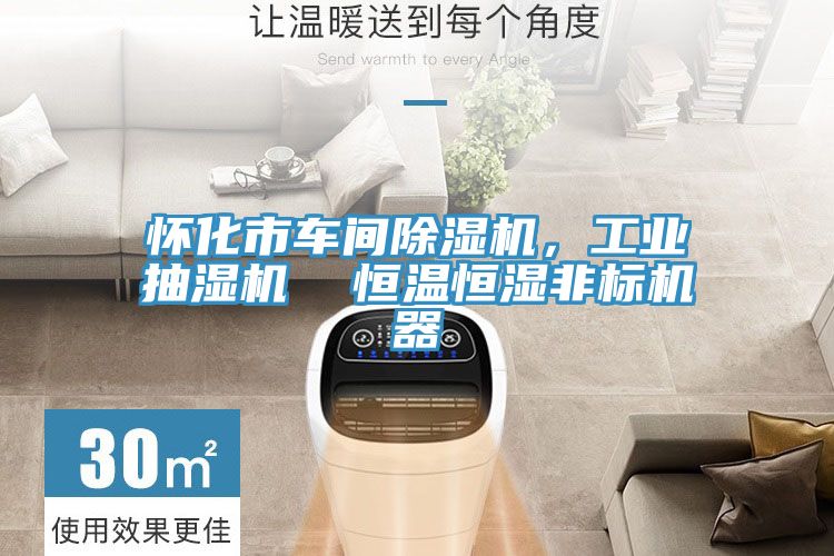 懷化市車(chē)間除濕機(jī)，工業(yè)抽濕機(jī)  恒溫恒濕非標(biāo)機(jī)器