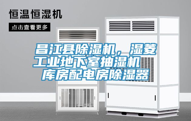 昌江縣除濕機(jī)，濕菱工業(yè)地下室抽濕機(jī)  庫(kù)房配電房除濕器